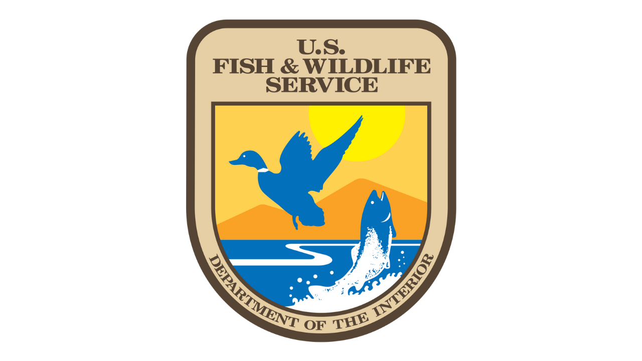 Fish logo